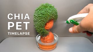 Growing Chia Seeds On Head Planter - Time Lapse - Chia Pet #1