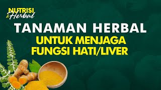 Manfaat Tanaman Alami Ini Bisa Digunakan untuk Menjaga Kesehatan Hati | Nutrisi & Herbal #33 screenshot 4