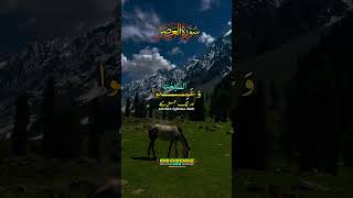 SOOTHING & RARE | Surah Al-Qasas(The Story) | (كاملة) سورة القصص | Yasser Al Dosari ياسرالدوسري