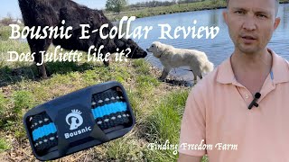 We got an E-Collar! Bousnic E-Collar Review