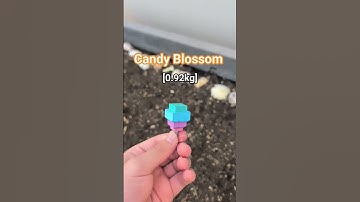 Grow A Garden #growagarden #roblox #3dprinting #fyp