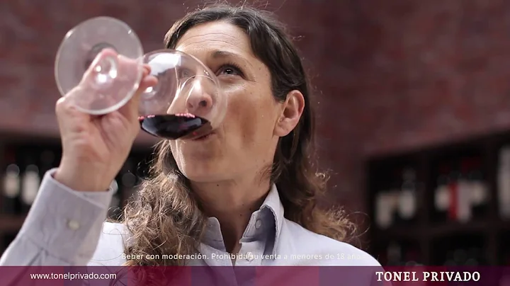 Experimenta Bonarda: ALTAVISTA Premium Estate Bona...
