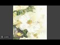 【432Hz】アネモネ Anemone - Novelbright