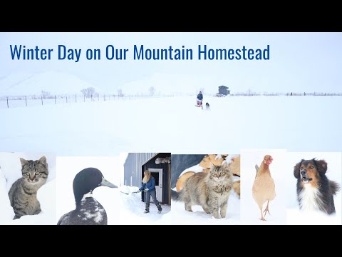 Download Wintery Day Activities around Our Mountain Homestead