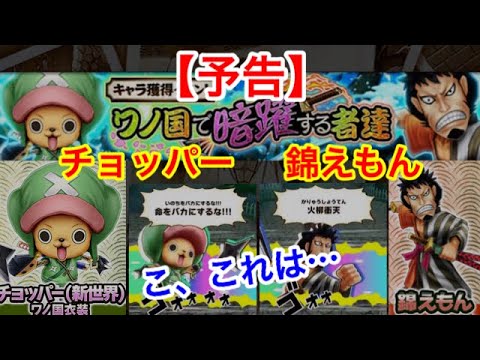 冥王 レイリー 強さ