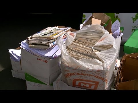 «Сдай макулатуру – спаси дерево»
