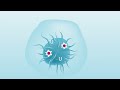 Animation for Cancer Conference