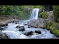 ASMR Powerful River & Waterfall Sounds 💧 Loud Flow + Birds Chirping | Nature Relaxation