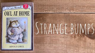 Owl at Home - Strange Bumps - Children's Book by Arnold Lobel