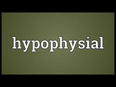 Header of hypophysial