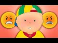 Chanson des Sentiments | Caillou en Français