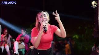 KOPLO SIAPA KAU || BUNDA SAPNAH || ARIS AUDIO LIVE IN JASINGA