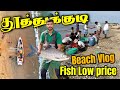       different fishes   arivarasanvlogs