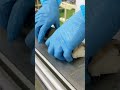 手が止まらない！鯖と真昆布の黄金コンビ【さば鮨 極】
