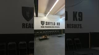 NEW Toronto Location! Shield K9 Dog Training