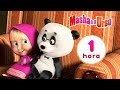 Masha e o Urso 🐻 Priminho 🐼👱‍♀️ Compilação 3 🎬 1 hora