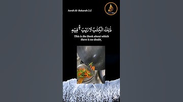 الَّذِينَ يَنقُضُونَ عَهْدَ اللَّهِ تلاوة خاشعة للشيخ د.سعود الشريم سورة البقرة #سعودالشريم​ {1-5}