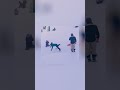 Epic Fails &amp; Thrills: Sledding, Scooters, and Hoverboard Crashes! #shorts