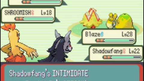 Pokemon Emerald Version Walkthrough Part 22