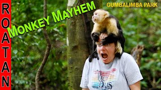 Gumbalimba Park Roatan Honduras with Monkeys