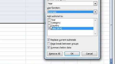 AM 4425 & 6 Subtotals Microsoft Excel 2007 ECDL Advanced ITQ3