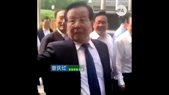 前国家副主席曾庆红称赞习近平主席：“习主席领导的好，是吧：毛主席、小平同志、江泽民、胡锦涛、习主席！”   【关注推特，看更多精彩罕见的视频  https://x.com/FANSZHANGZHE】