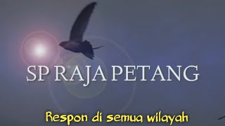 Suara Panggil Walet | SP Paling Respon Terbukti di Semua Wilayah