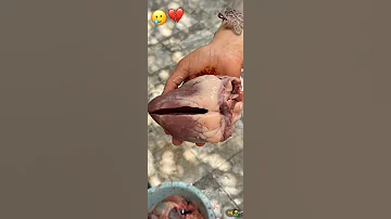 روح داوي قلبك 