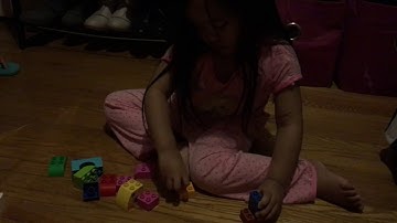 Camel Duplo Lego Building