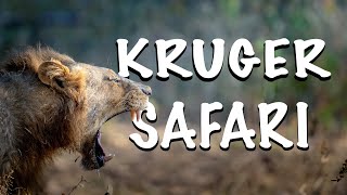 Safari in KRUGER NATIONAL PARK - What's it like??