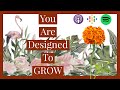 🌹I'm designed to GROW! (In Right Standing Podcast) Ep.24