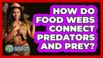 How Do Food Webs Connect Predators And Prey? - Ecosystem Essentials