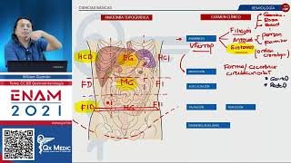 Examen físico del abdomen- Semiología en gastroenterología