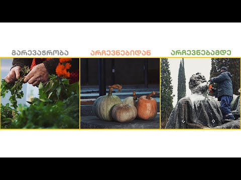 ნათია ქარჩილაძე - \"გარევაჭრობა არჩევნებიდან არჩევნებამდე\"