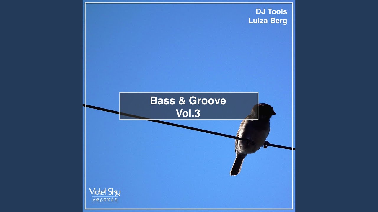 4.Bass & Groove vol.3 (DJTool)