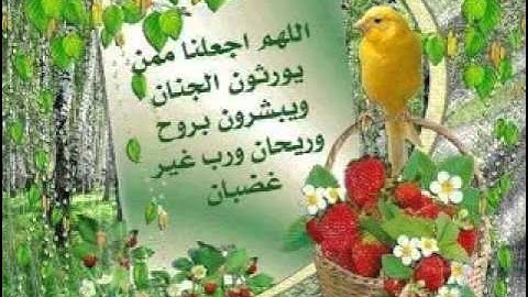 تلاوة خاشعة لسورة التين و العلق احمد سعود