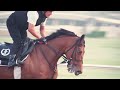 One Man: Three Horses! Ex-Jockey MARINO CARLOS on his three Dubai World Cup Runners