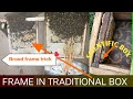 How to give brood frame in traditional box tricks for settle a new swarm in traditional boxviral