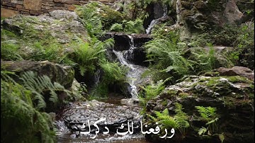 حالة واتس سعد الغامدي سورة الشرح آام نشرح لك صدرك