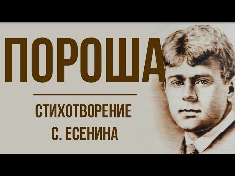 «Пороша» С. Есенин. Анализ стихотворения