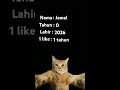 ada kucing nama jamal