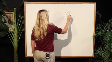 Using the Vertical Line Test