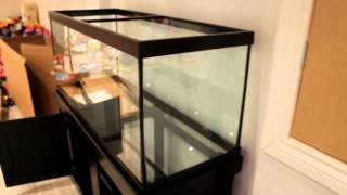How to build a 75 gallon reef tank Part 4 ( plan and rough design ) Links ONLY IN THE 6IX - LEOPAZZO Official music video http://