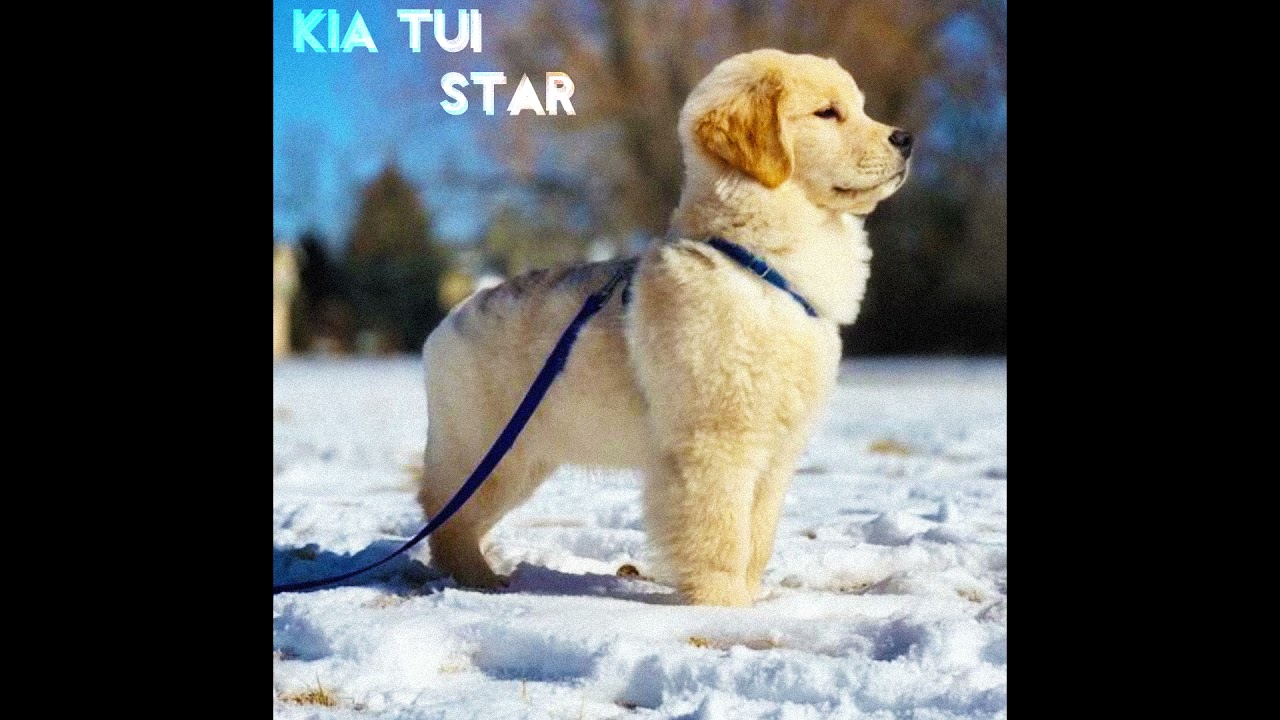 free bladee type beat "invited" [prod. kia tui x star]