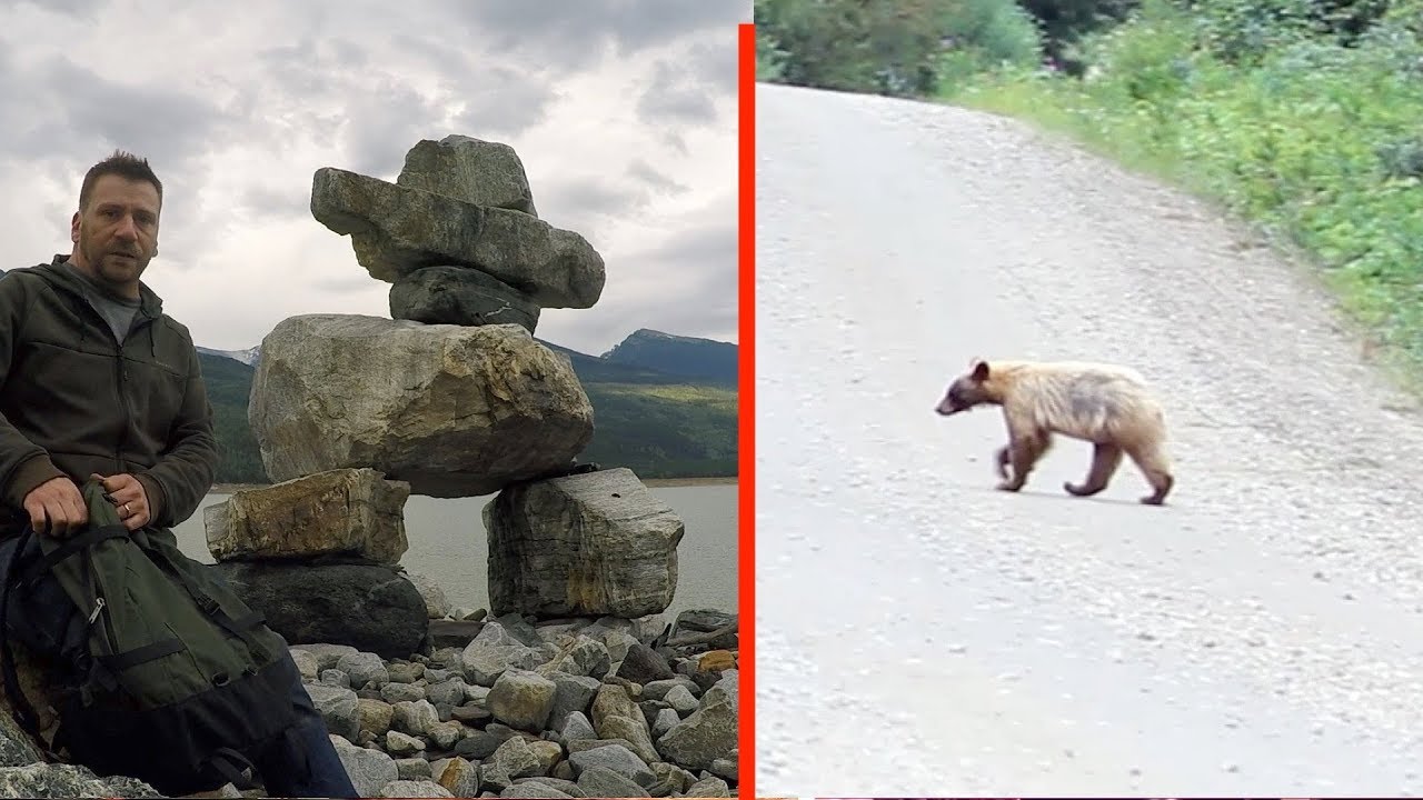 Camping With Mountains And Bears