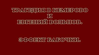 Трагедия в Кемерово и Евгений Вольнов. Эффект бабочки. Трагедия в Кемерово и Евгений Вольнов. Эффект бабочки.