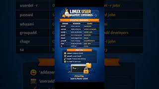 90% Developers Don’t Know These Linux Commands (Must Learn!)