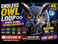 🦉 Endless Owl Loop 👁️ Hypnotic Night Stare (4K)