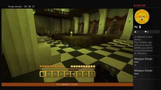 *FR/PS4*MINECRAFT *cache cache* live+rediff*