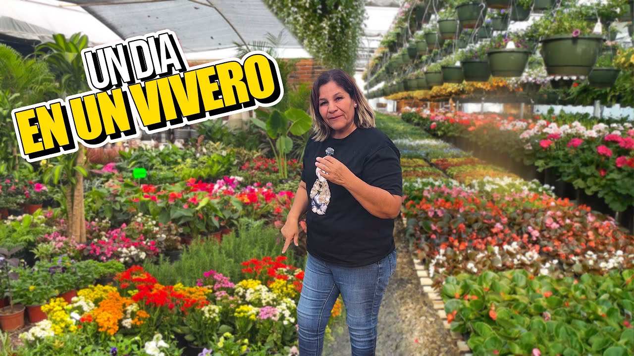 Así es un VIVERO 